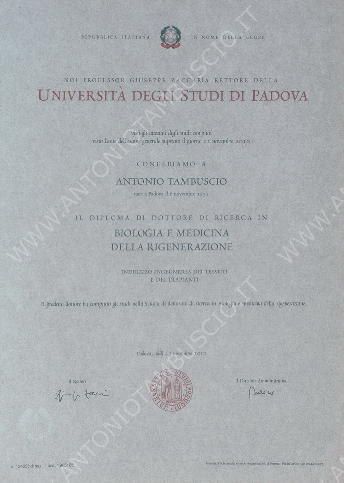 Medicina e chirurgia - International Medical School ...