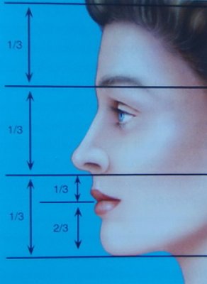 © Dallas Rhinoplasty – Surgery by the masters (QMP) lunghezza ideale del naso