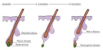 Epilazione laser o area bikini fotoepilation Risks of laser depilation